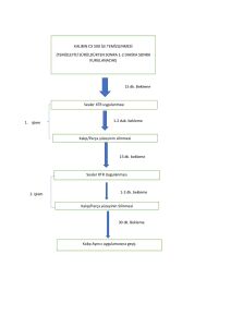 AXEL XTEND-XTR Kalıp Astarı 2,8 KG