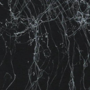 Cadence Merrmerleme Spreyi 200 ml - Metalik Gümüş